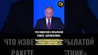 ЧТО ИЗВЕСТНО О БУРЕВЕСТНИКЕ #шортс #россия #путин #буревестник