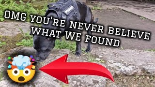 OMG YOU'RE NEVER BELIEVE WHAT WE FOUND