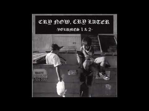 【美品】 V.A/Cry Now, Cry Later 7EP 2枚組 Cry Now, Cry Later Volumes 1 & 2 – CD (Compilation), 1998