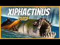 Xiphactinus guide spawn taming eigenschaften  ark survival ascended