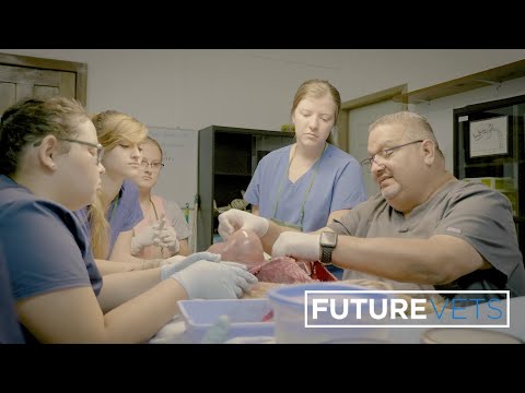 High Schools With Animal Programs Near Me