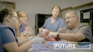 All-Access Veterinary Program for High School Students