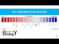 Acid-Base Chemistry Concepts
