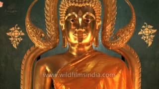 Devotees chanting mantras inside the Thai monastery - Bihar