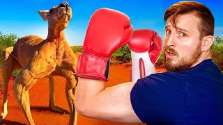 Could You Beat a Kangaroo in a Fight? Wealth