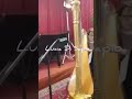 Pino Daniele - Quando #strings #harp #viola #arpa #pinodaniele