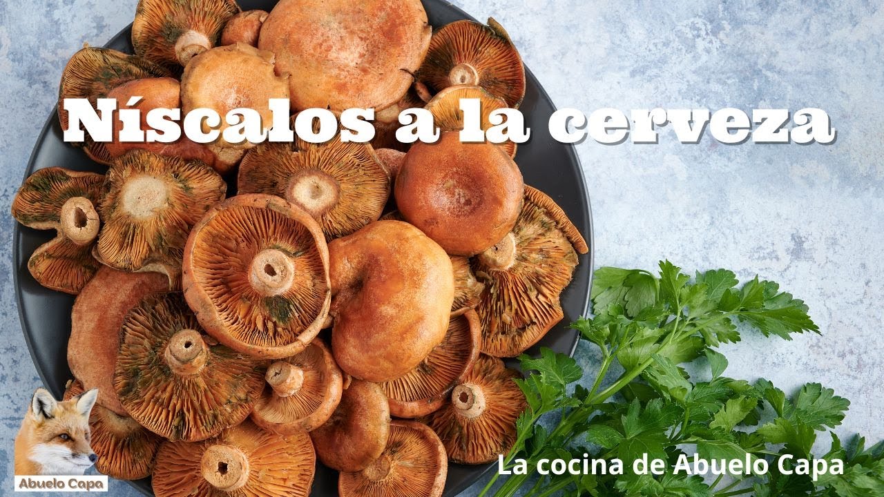 Como cocinar níscalos a la cerveza