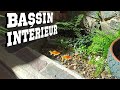 Ep34 - JARDINIÈRE BASSIN DANS LE MUR ! Vitrification marches // LA GRANGE EN RÉNOVATION