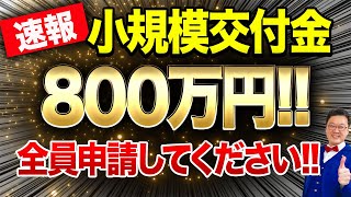 超速報】従業員0でも800万円貰える「最強の交付金」が遂に登場！動画を