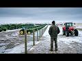 He Dumped Every John Deere on the Lot — And the Massey Ferguson Dealer Smiled