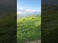 天苍苍 野茫茫 天苍苍 野茫茫