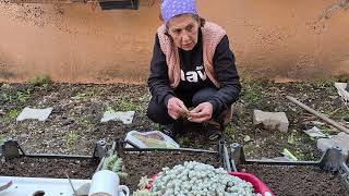 Huzur Bahçesinde tohumlar ekildi🥰