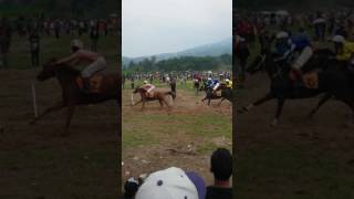 Pacuan kuda leduk 2017