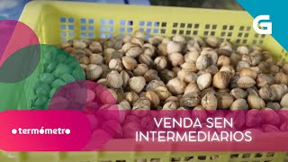 🌊 Os PRODUTORES, en BUSCA dunha SOLUCIÓN para a VENDA DIRECTA