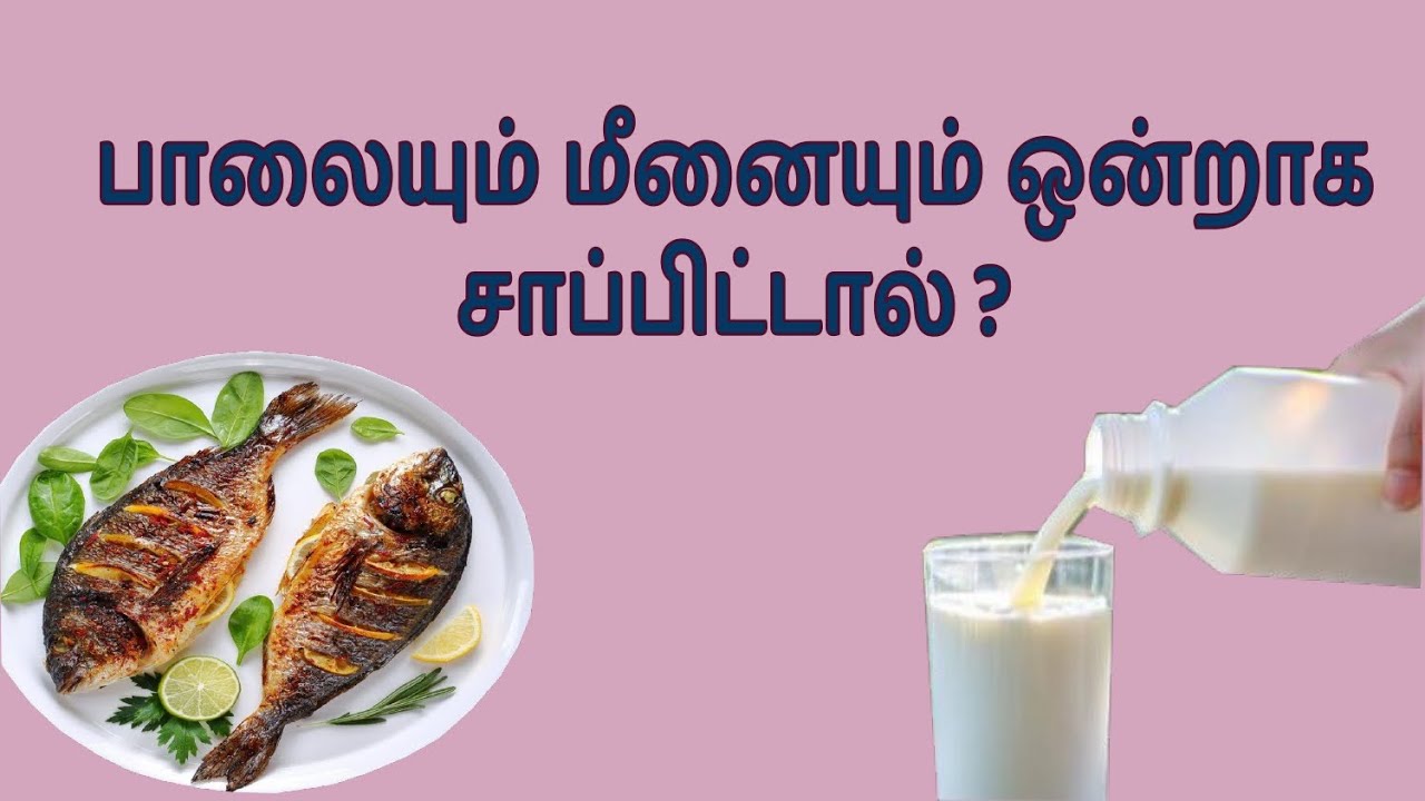 Fish And Milk Side Effects YouTube fish-and-milk-side-effects-youtube