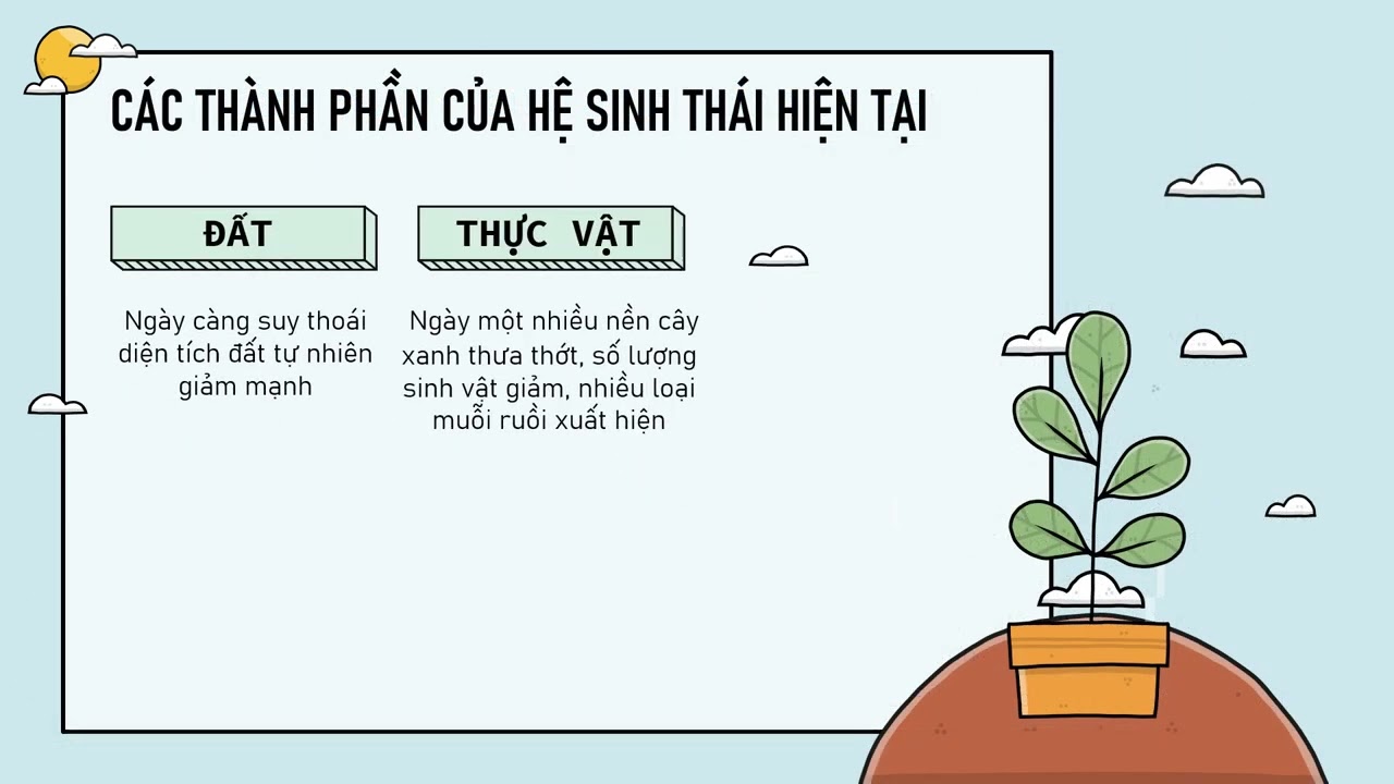 Tổng hợp các câu hỏi phỏng vấn về ô nhiễm môi trường mới nhất