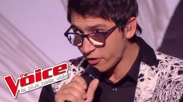 Vincent Vinel - « Take On Me » (A-ha) | The Voice 2017 | Live