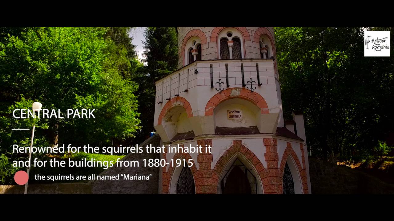 Vatra Dornei - Dorna Land