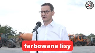 Premier Morawiecki o farbowanych lisach