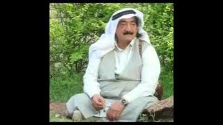 شيلة طلال العارف في حميدي الدهام الجربا