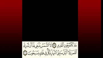 TAFSIIRKA:◇:سورة يس ٤٠:◇:SH:-MAXAMAD CABDI UMAL حفظه الله