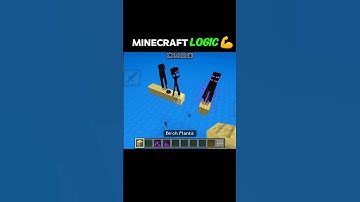 Minecraft Logic 😭