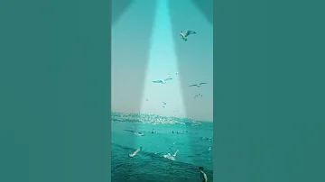 بسطنبول عشقتك سني سفيورم 