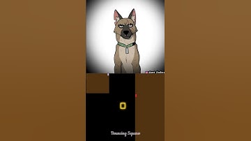 Pixie And Brutus (7 Weeks & 3 Days) / Squaro the Bouncing Square