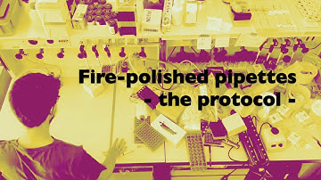 A protocol for fire-polished Pasteur pipettes