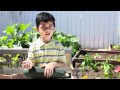 Preschool Nutrition & Gardening - Teach Kid's Healthy Eating Habits - ChooseHealthLA.com