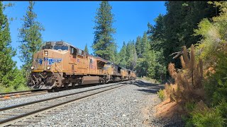 Celebrity WB Union Pacific double stack train coasting down the hill with hot and squeaky breaks.  Net Worth