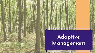 Adaptive Management