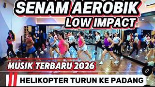 LOW IMPACT AEROBIC WORKOUT - LATEST MUSIC - HELICOPTER LANDING IN THE FIELD - CHIKA HARIYONO