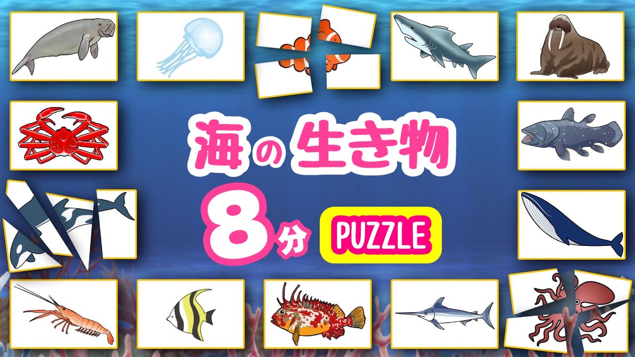 子供が喜ぶ水族館】海の生き物パズル8分！お魚さんたちが大集合