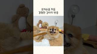 효자손에 푹 빠졌어요💛
