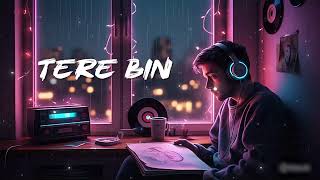 Tere Bin Hindi Lofi Love Song Chill Romantic Vibes Musika Records