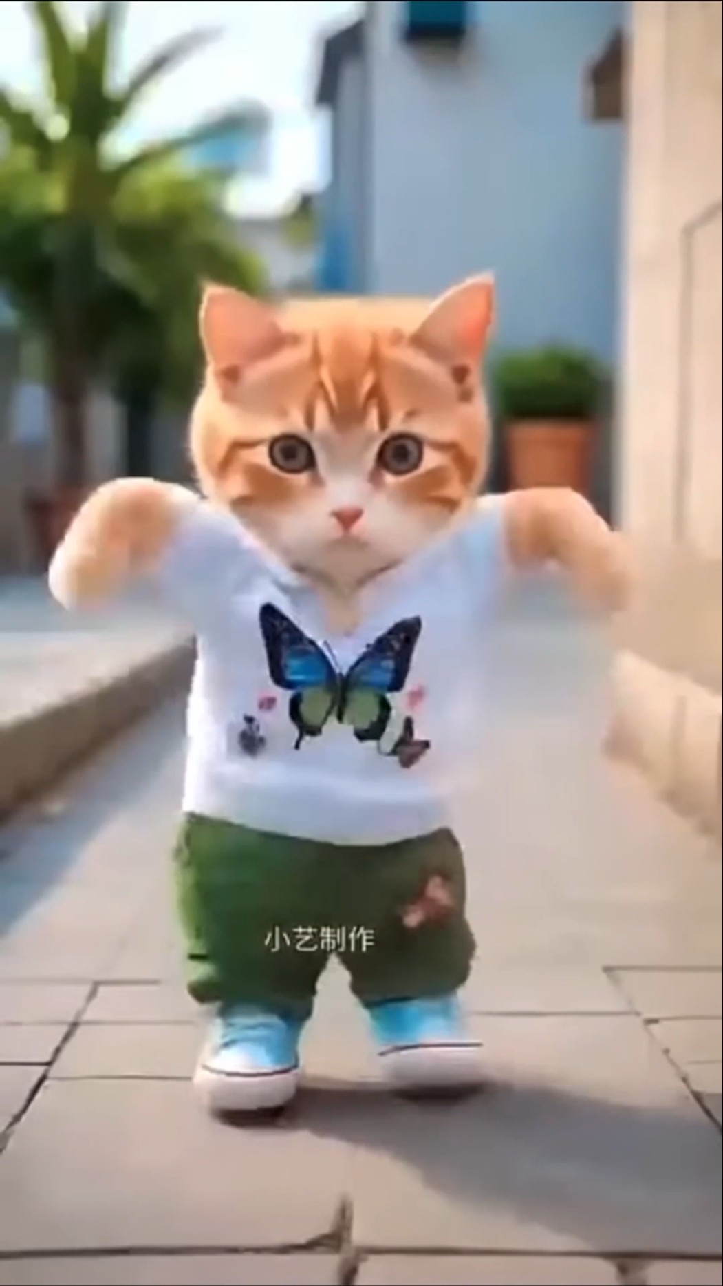 القطه تقلد لي لي ورقيه ??♥️???✅ #shorts