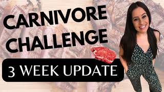 Why carnivore? by Natasha Georgakis 983 views 10 months ago 7 minutes, 39 seconds