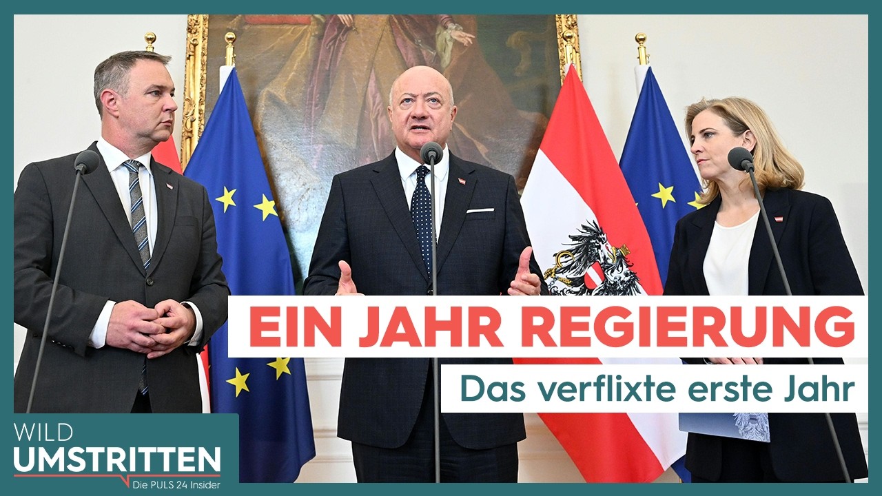 Ein Jahr Regierung – Gelingt der Aufschwung? | Wild Umstritten