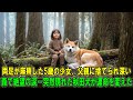 【奇跡の実話】両足が麻痺した5歳の少女が、冷酷な父親によって人里離れた深い森に捨てられた…絶望の叫び声を上げて泣き続けるその瞬間、1匹の秋田犬が突然姿を現した…