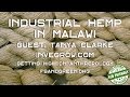 Industrial Hemp in Malawi