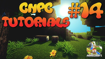 Custom NPCs Managing Player Data [1.8.+]: CNPC Tutorials #14