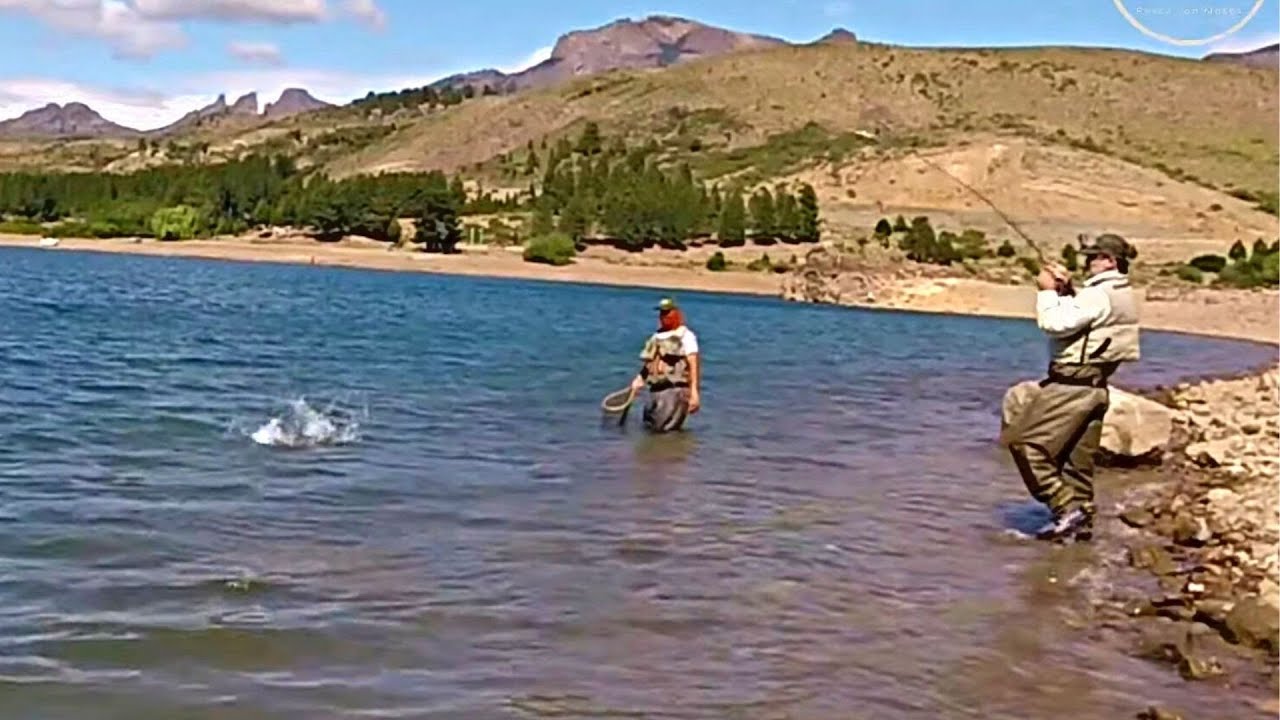 Las Mejores Capturas del Embalse Alicurá, PESCA CON MOSCA, Patagonia Argentina, Fly Fishing