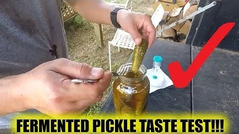 Fermented Pickle Taste Test!!