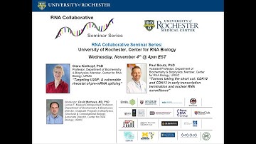 RNA Collaborative - UR Center for RNA Biology: Nov 4, 2020
