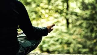 Sam Harris and Joseph Goldstein Talk About Meditation 9/9