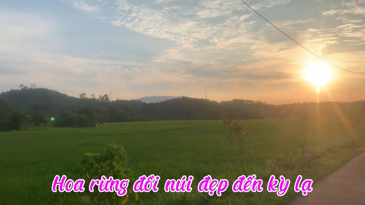 Hoa rừng đồi núi đẹp đến kỳ lạ