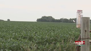 Severe drought is spreading across KELOLAND