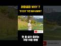 첫홀 티샷만 잘 넘어가자! #하도형프로 #골프 #골프레슨 #필드레슨 #travel
