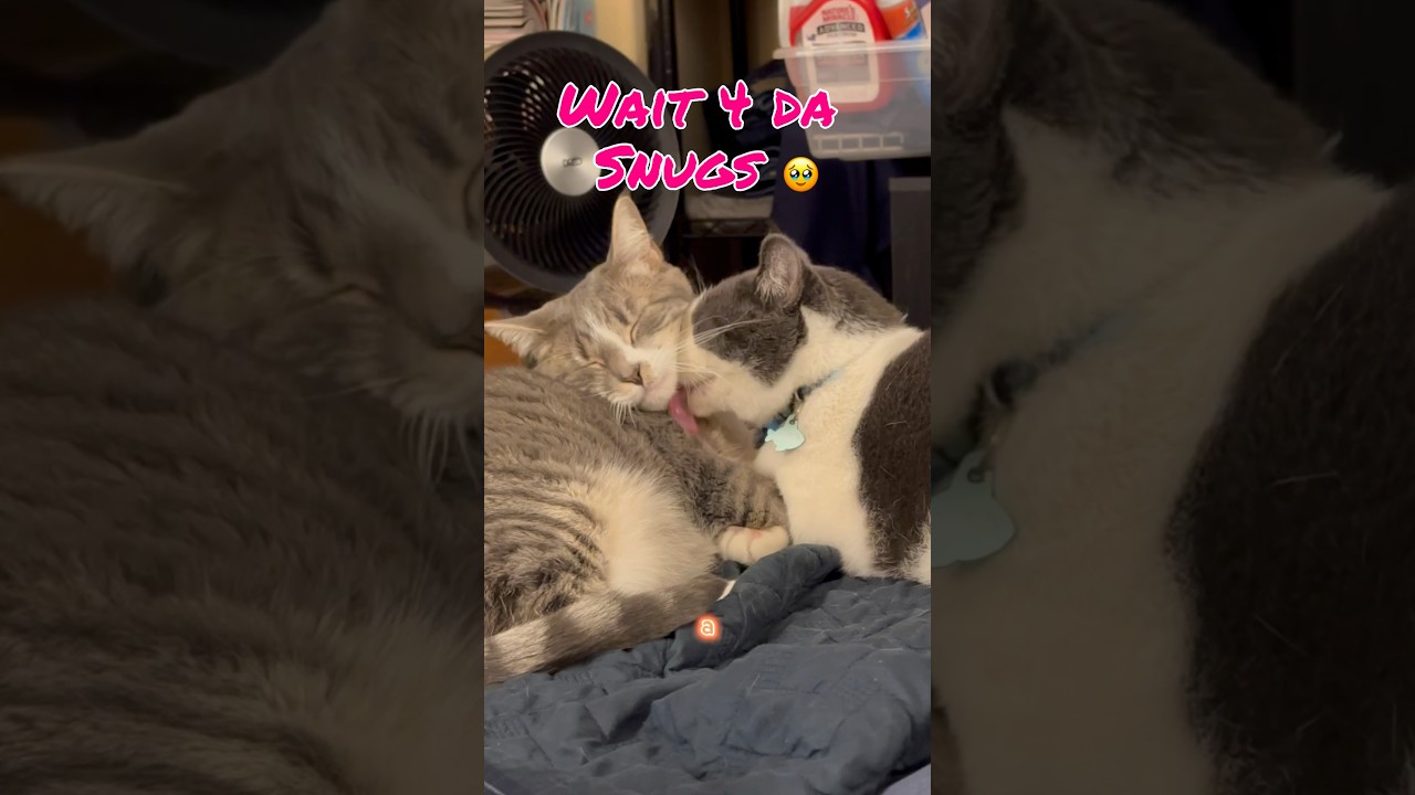 These two melting my heart 😍🥰 